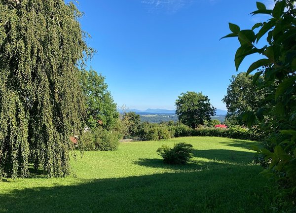 53589606-D832-43F8-A345-B35E4D8D8EB3.jpeg 53589606-D832-43F8-A345-B35E4D8D8EB3.jpeg