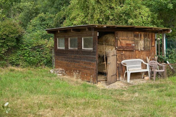 2020-07-28_BLUMEN_DSC5229.jpg 2020-07-28_BLUMEN_DSC5229.jpg