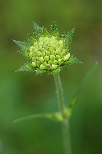 20200725-P7250411 Dörrnwasserlos Kleinziegenfeld.JPG