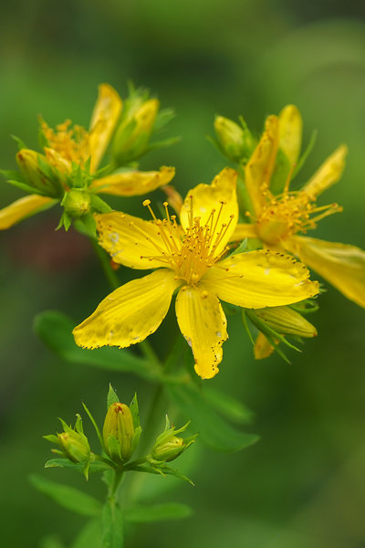 20200725-P7250422 Dörrnwasserlos Kleinziegenfeld.JPG