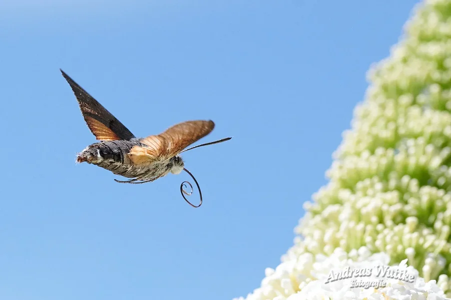 AZ6_7656_C1 1.webp