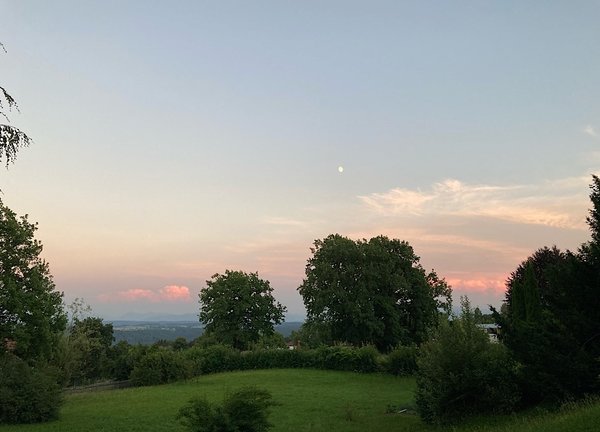 68515A53-5305-4E3B-948A-3C45029B41EF.jpeg 68515A53-5305-4E3B-948A-3C45029B41EF.jpeg