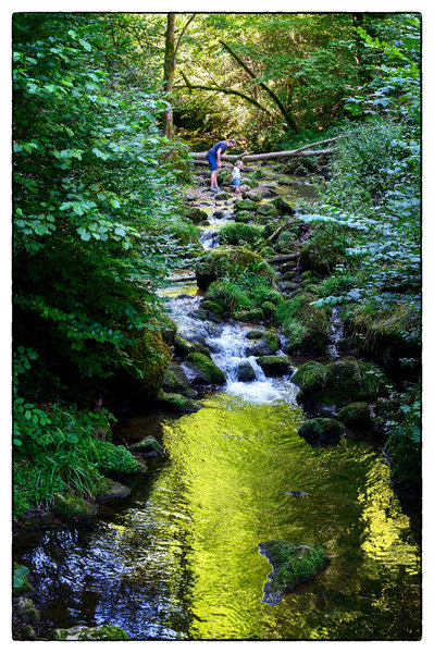 DSC_3501.jpg DSC_3501.jpg