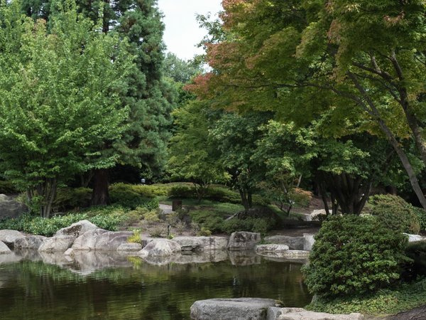 FO 03082020 HH Plantenund BlomenP8025442.jpg FO 03082020 HH Plantenund BlomenP8025442.jpg