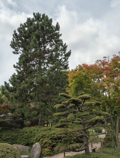 FO 03082020 HH Plantenund BlomenP8025453.jpg FO 03082020 HH Plantenund BlomenP8025453.jpg