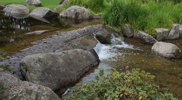 FO 03082020 HH Plantenund BlomenP8025463.jpg FO 03082020 HH Plantenund BlomenP8025463.jpg