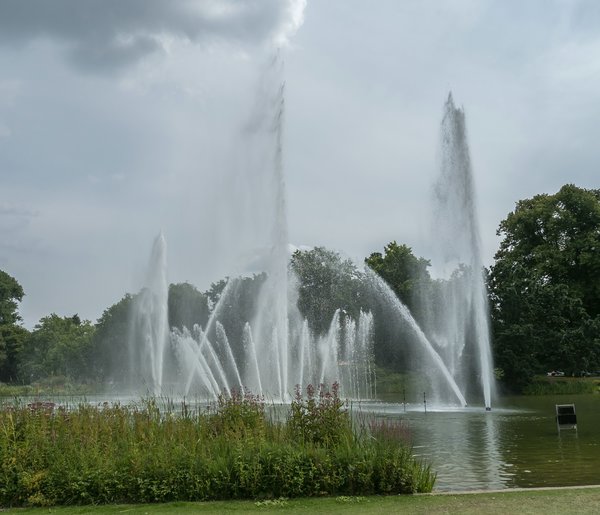 FO 03082020 HH Plantenund BlomenP8025551.jpg FO 03082020 HH Plantenund BlomenP8025551.jpg