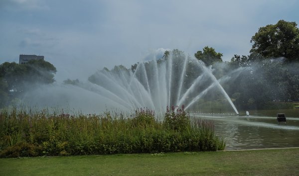 FO 03082020 HH Plantenund BlomenP8025553.jpg FO 03082020 HH Plantenund BlomenP8025553.jpg