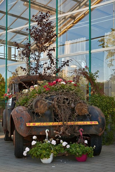 2020-08-06_BLUMEN-AUTO_C717206.jpg 2020-08-06_BLUMEN-AUTO_C717206.jpg