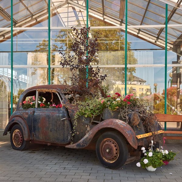 2020-08-06_BLUMEN-AUTO_C717220.jpg 2020-08-06_BLUMEN-AUTO_C717220.jpg