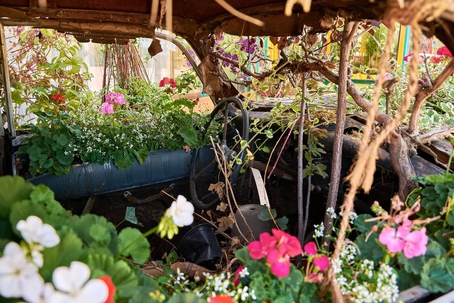 2020-08-06_BLUMEN-AUTO_C717223.webp
