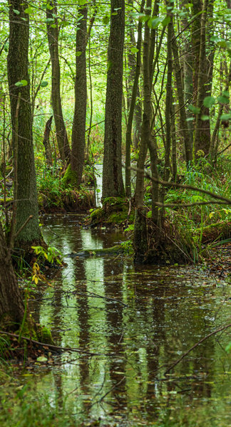 Müritz 2014_049-2.jpg