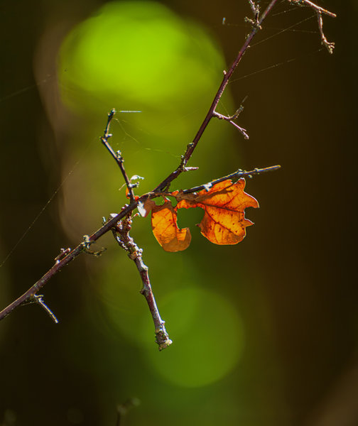 Müritz 2014_078.jpg