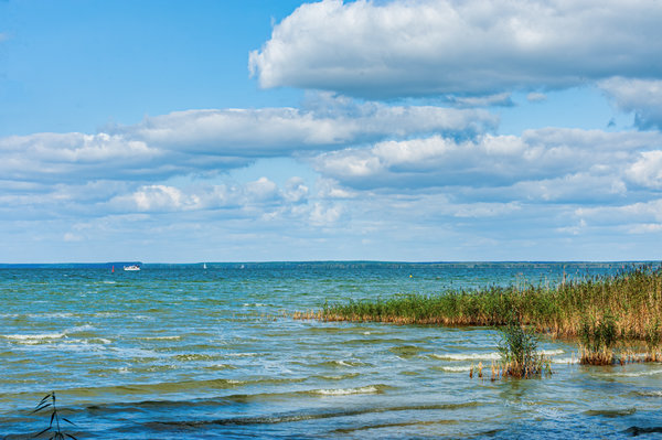 Müritz 2014_097.jpg