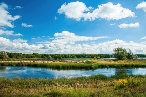 Müritz 2014_231.jpg