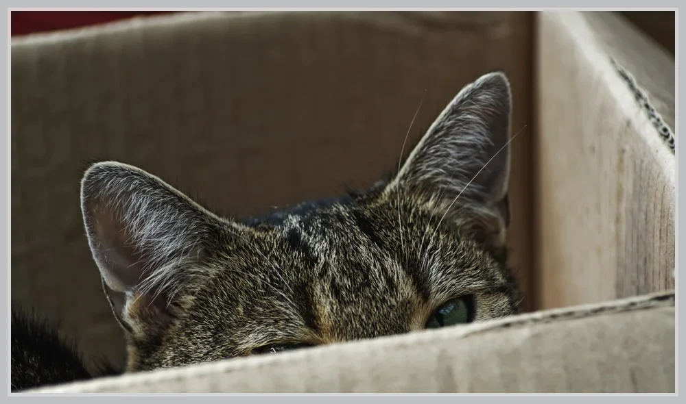 _small__IMG3549 Kopie_1_DxO.webp _small__IMG3549 Kopie_1_DxO.webp