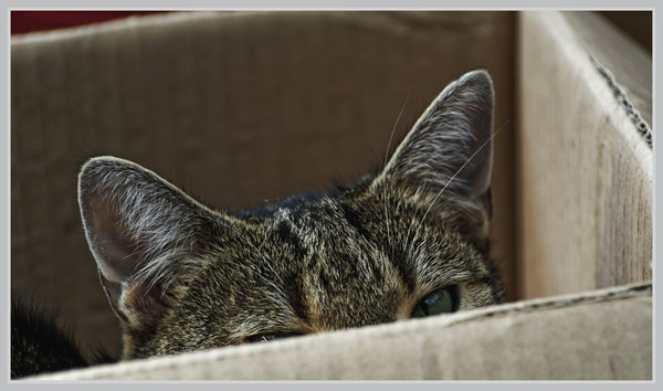 _small__IMG3549 Kopie_1_DxO.JPG