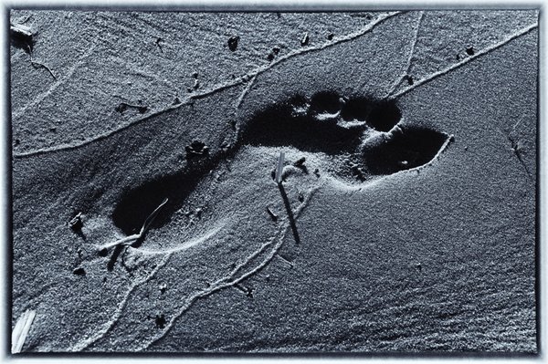 _small__IMG3471_Nik_DxO.JPG _small__IMG3471_Nik_DxO.JPG