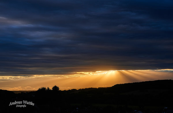 DSC_8381.jpg