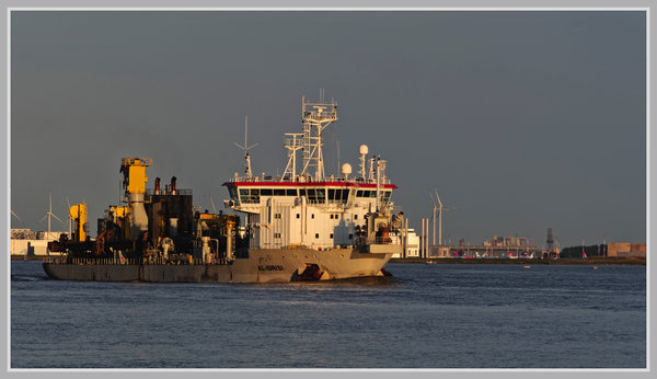 _small__IMG3504_1_DxO.JPG _small__IMG3504_1_DxO.JPG