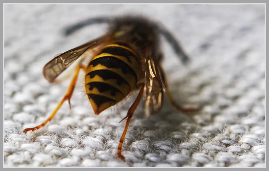 _small__IMG3572_1_DxO.JPG
