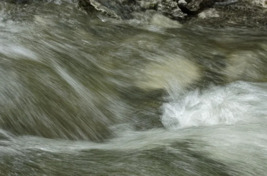 _IGP1738_DxO.webp