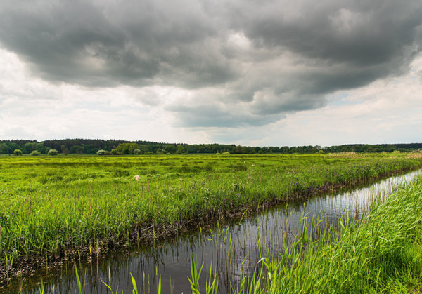 Nehringen 2015_069.jpg Nehringen 2015_069.jpg