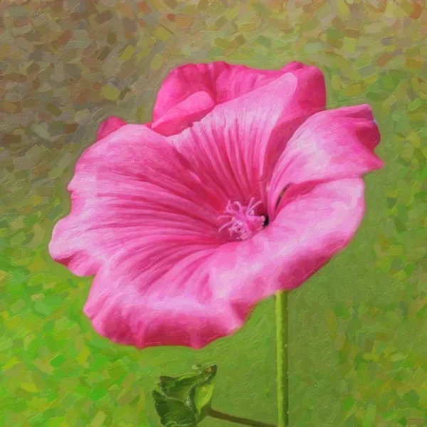 LilaBlumeBlüteGROSSSL290280ENDVERSIONOPTIMALQUADRATOILIMP_666x666.webp