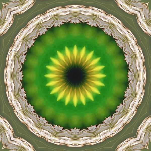 SonnenmandalsausKugelpflanzenSL290280FINVAR_666x666.jpg