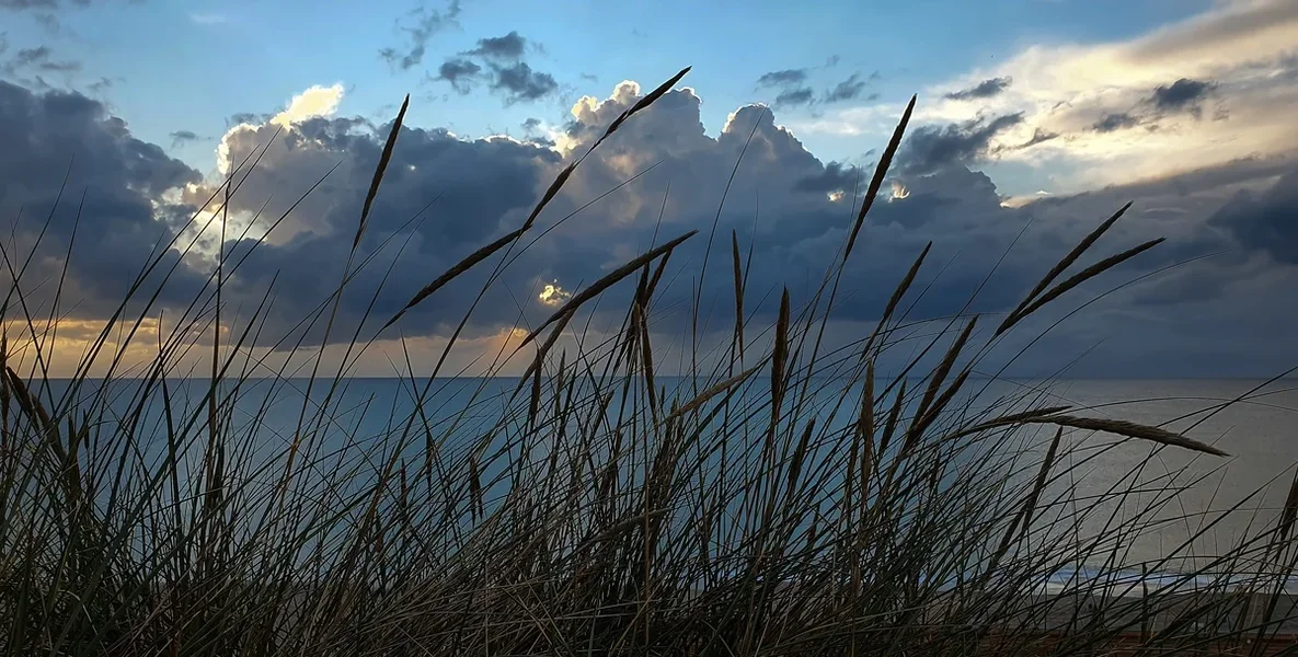 FO Sylt 202020200828_194702.webp