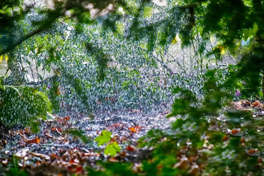 RainydayinSeptemberSL2CMac180EXT1,4.ENDVERSIOMANBEFINHIDY_998x666.webp