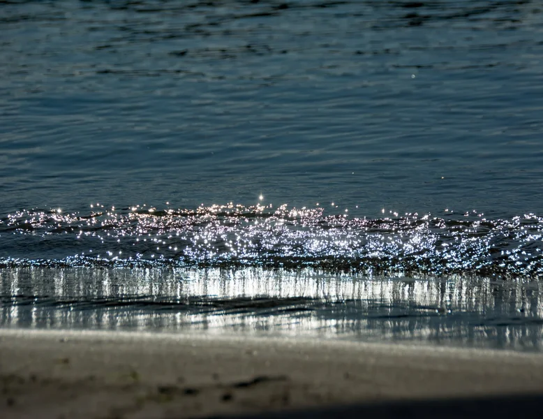 IMG_20200920_085212.webp