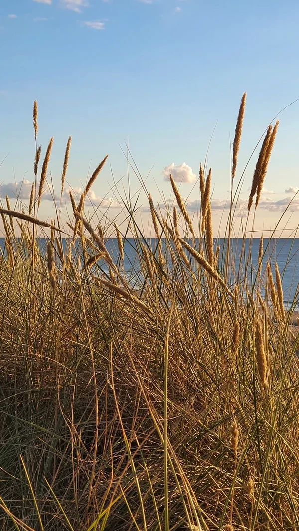 FO Sylt 202020200901_194121.webp