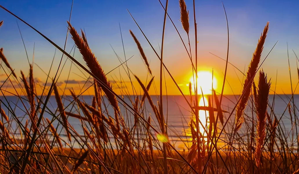 FO Sylt 202020200901_195648.webp