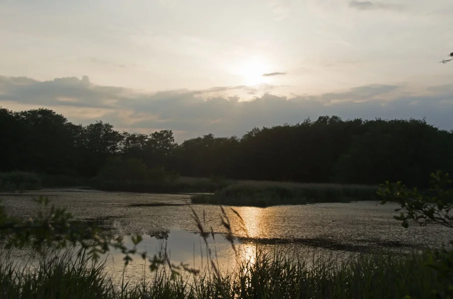 IMG_20200922_085736.webp