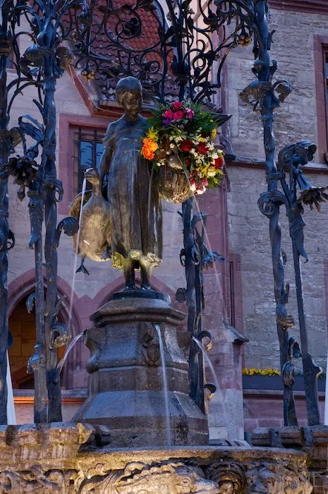 IMGP9347.webp