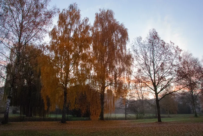 2012_Beller-Mühle-Park-20.11.webp