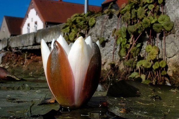 PLAROID_X530_08586.jpg PLAROID_X530_08586.jpg