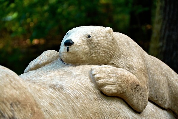 0015._TIERPARK__C718782.jpg 0015._TIERPARK__C718782.jpg