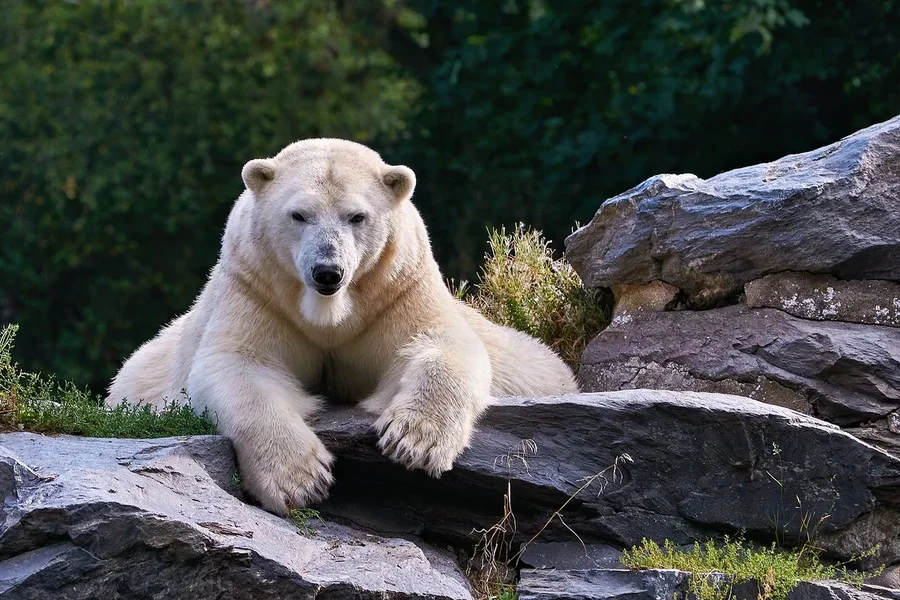 0018._TIERPARK__DSC1995.webp