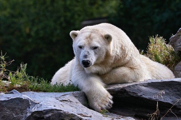 0019._TIERPARK__DSC2001.jpg 0019._TIERPARK__DSC2001.jpg