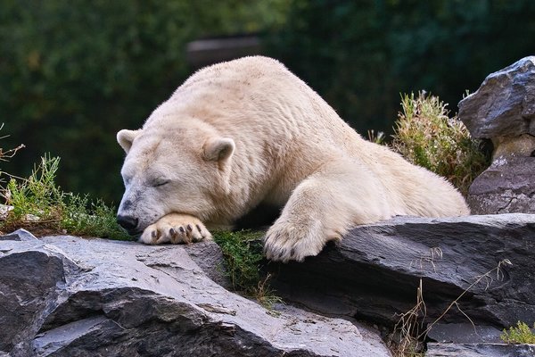 0021._TIERPARK__DSC2032.jpg 0021._TIERPARK__DSC2032.jpg