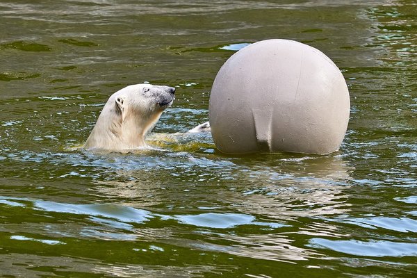0023._TIERPARK__DSC2045.jpg 0023._TIERPARK__DSC2045.jpg