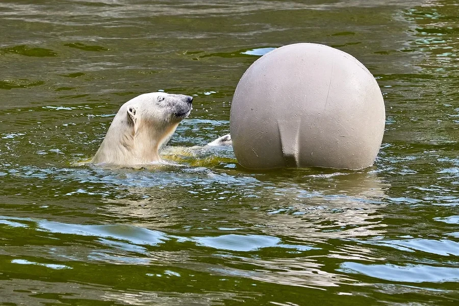 0023._TIERPARK__DSC2045.webp
