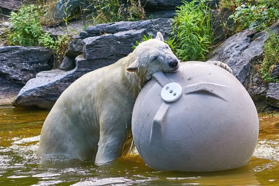 0035._TIERPARK__DSC2083.webp