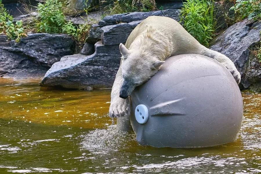 0040._TIERPARK__DSC2088.webp