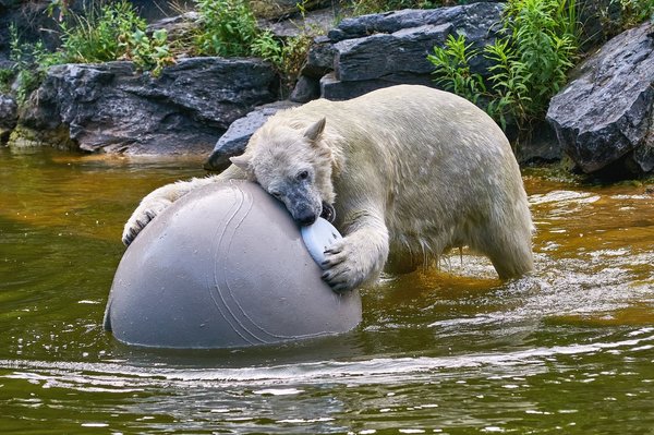 0046._TIERPARK__DSC2096.jpg 0046._TIERPARK__DSC2096.jpg