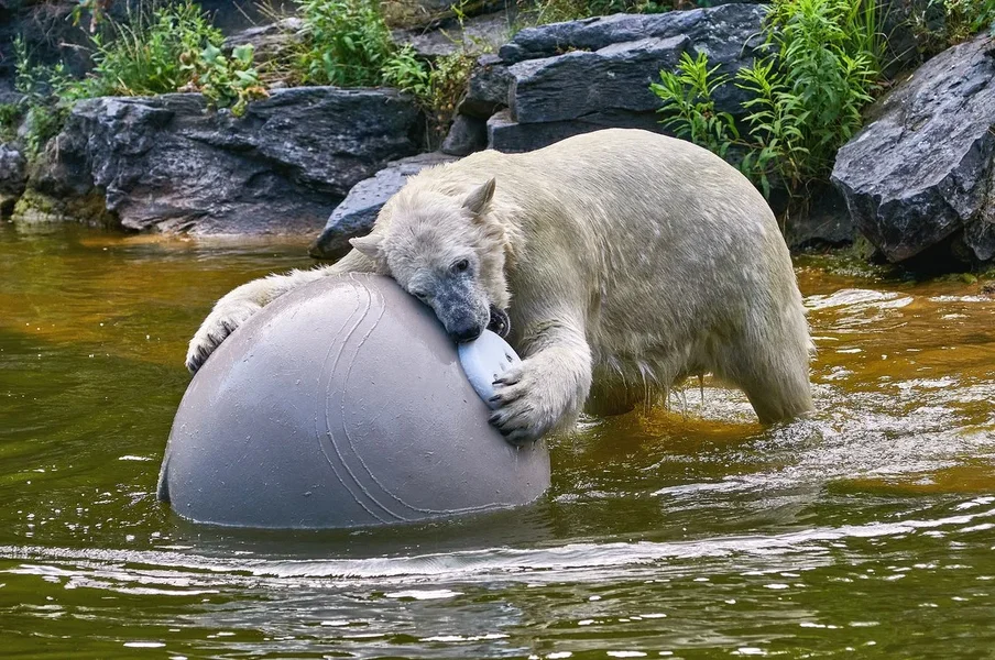 0046._TIERPARK__DSC2096.webp
