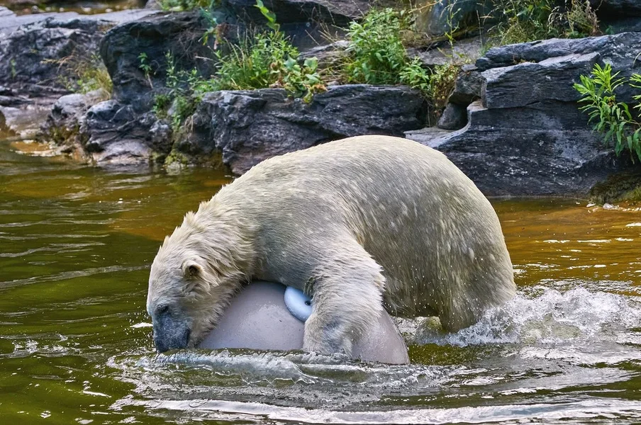 0047._TIERPARK__DSC2097.webp