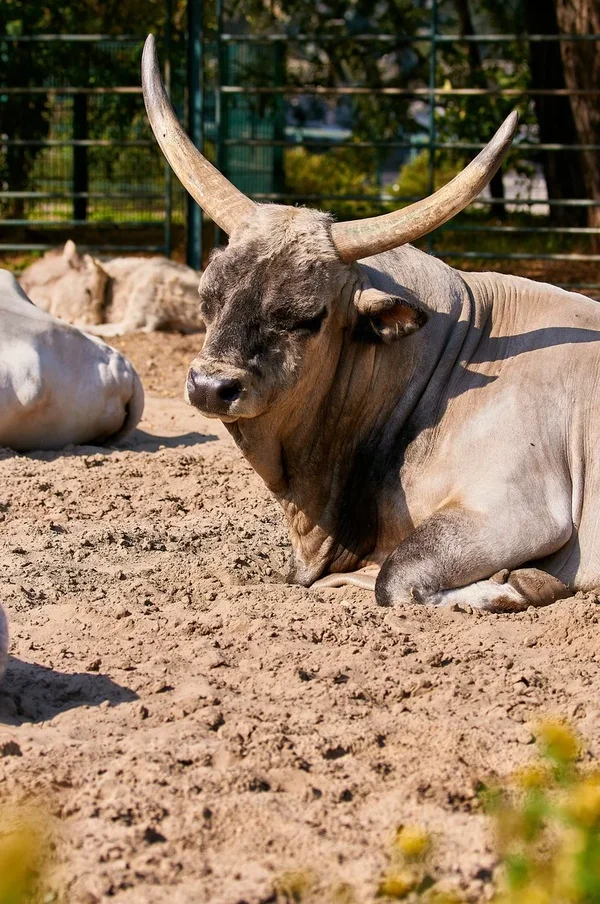 0062._TIERPARK__DSC2125.webp